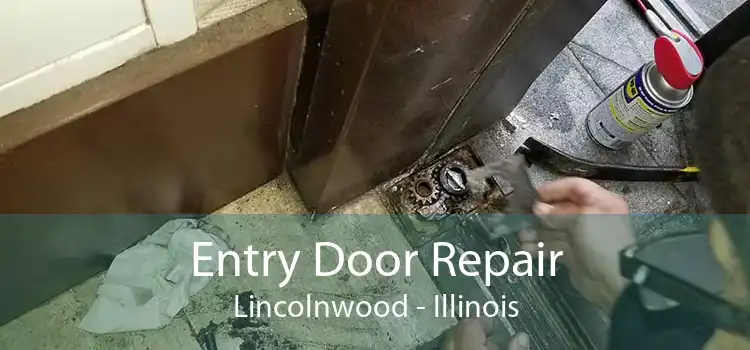 Entry Door Repair Lincolnwood - Illinois