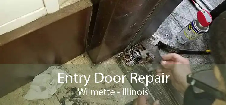 Entry Door Repair Wilmette - Illinois