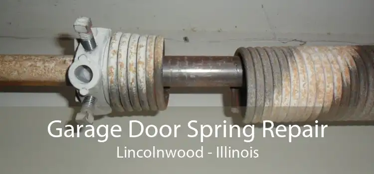 Garage Door Spring Repair Lincolnwood - Illinois