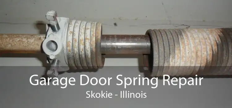 Garage Door Spring Repair Skokie - Illinois