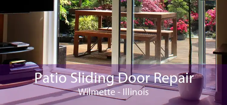 Patio Sliding Door Repair Wilmette - Illinois