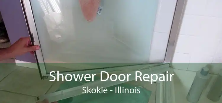 Shower Door Repair Skokie - Illinois