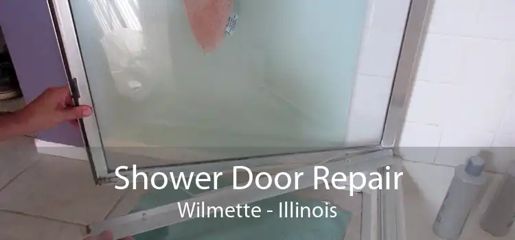 Shower Door Repair Wilmette - Illinois