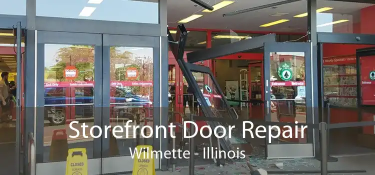 Storefront Door Repair Wilmette - Illinois